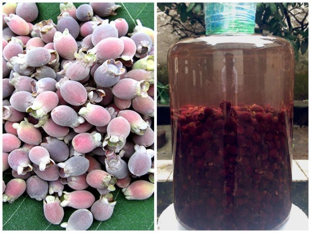 Rượu ngâm để được bao lâu? Cách bảo quản rượu ngâm chuẩn nhất