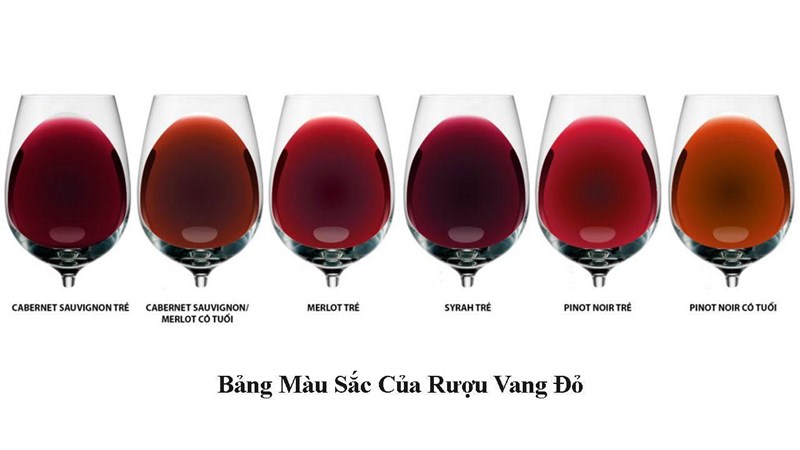 [Bảng Mã Màu Rượu Vang] Chi tiết và đầy đủ, ý nghĩa, công dụng