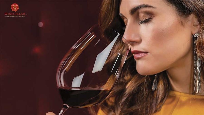 [Giải đáp của dân sành] Tại sao uống rượu vang phải lắc?