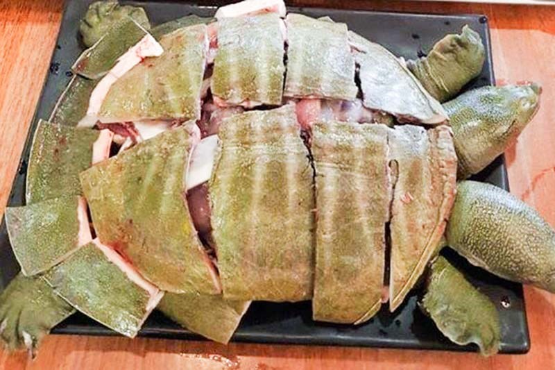 Ba ba nấu rượu vang: Món ngon hấp dẫn bạn nên làm thử