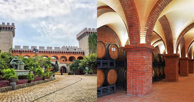 Hầm rượu vang Mũi Né: Điểm đến hấp dẫn thu hút du khách