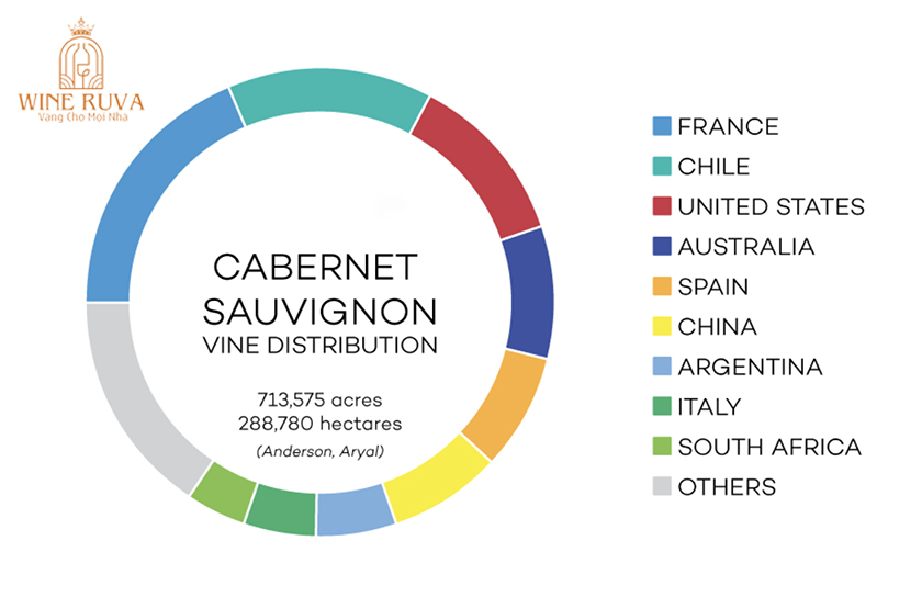 rượu vang Cabernet Saugvinon