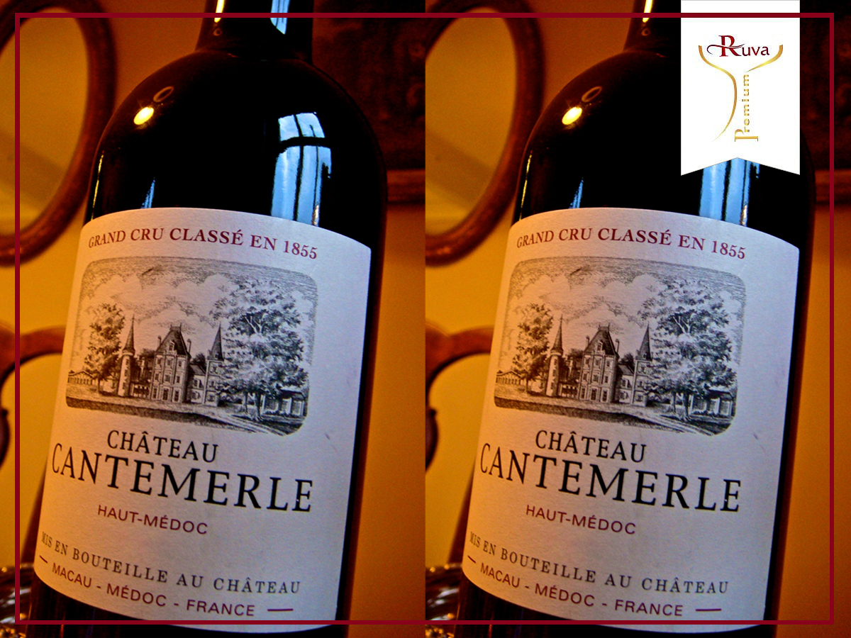 Hương vị Rượu vang đỏ CH CANTEMERLE vô cùng bắt mắt và thu hút được mọi ánh nhìn.