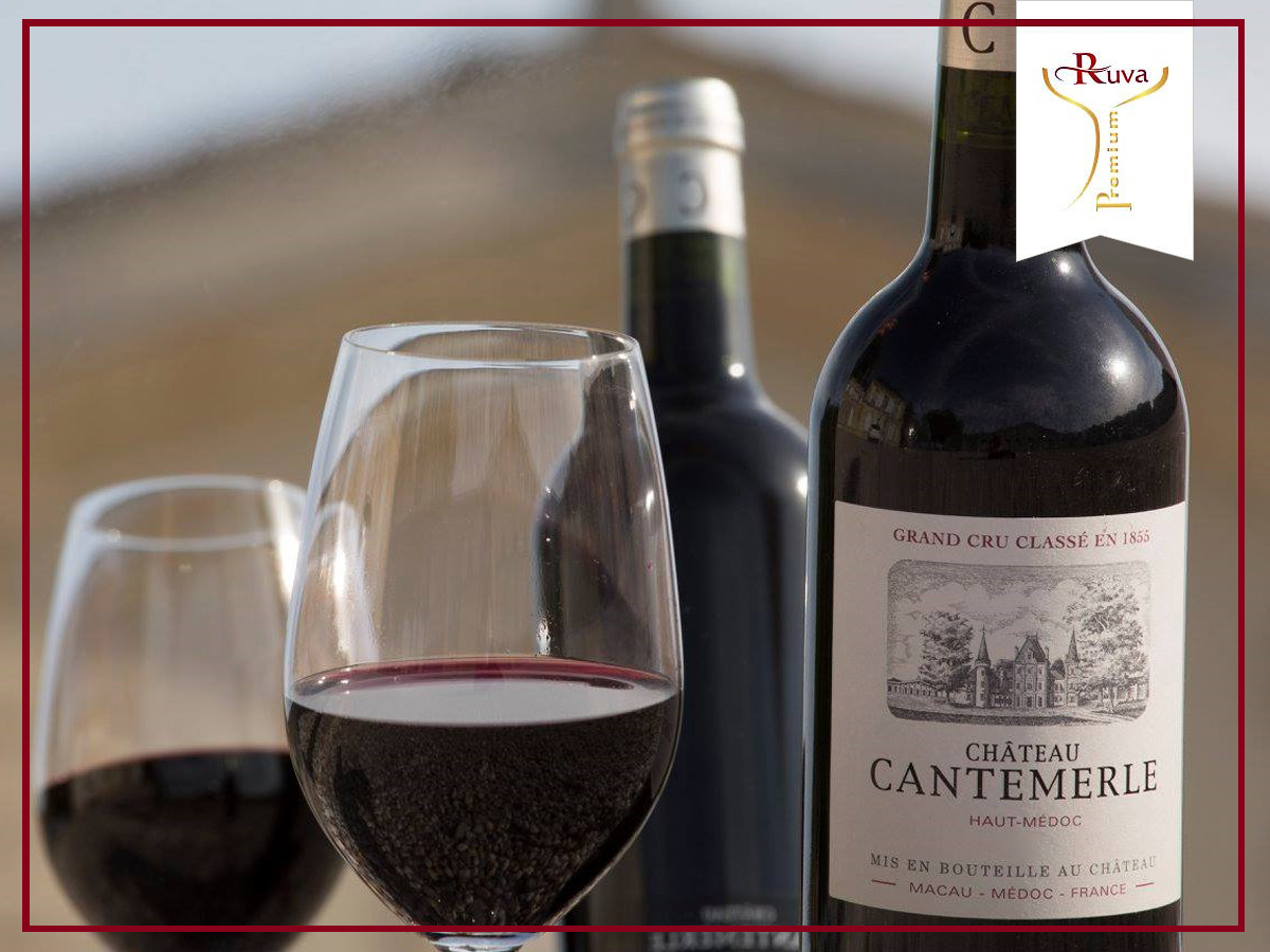 Rượu vang đỏ CH CANTEMERLE 13% thuộc một trong những dòng rượu vang đỏ cao cấp của nhà rượu Bordeaux - Pháp