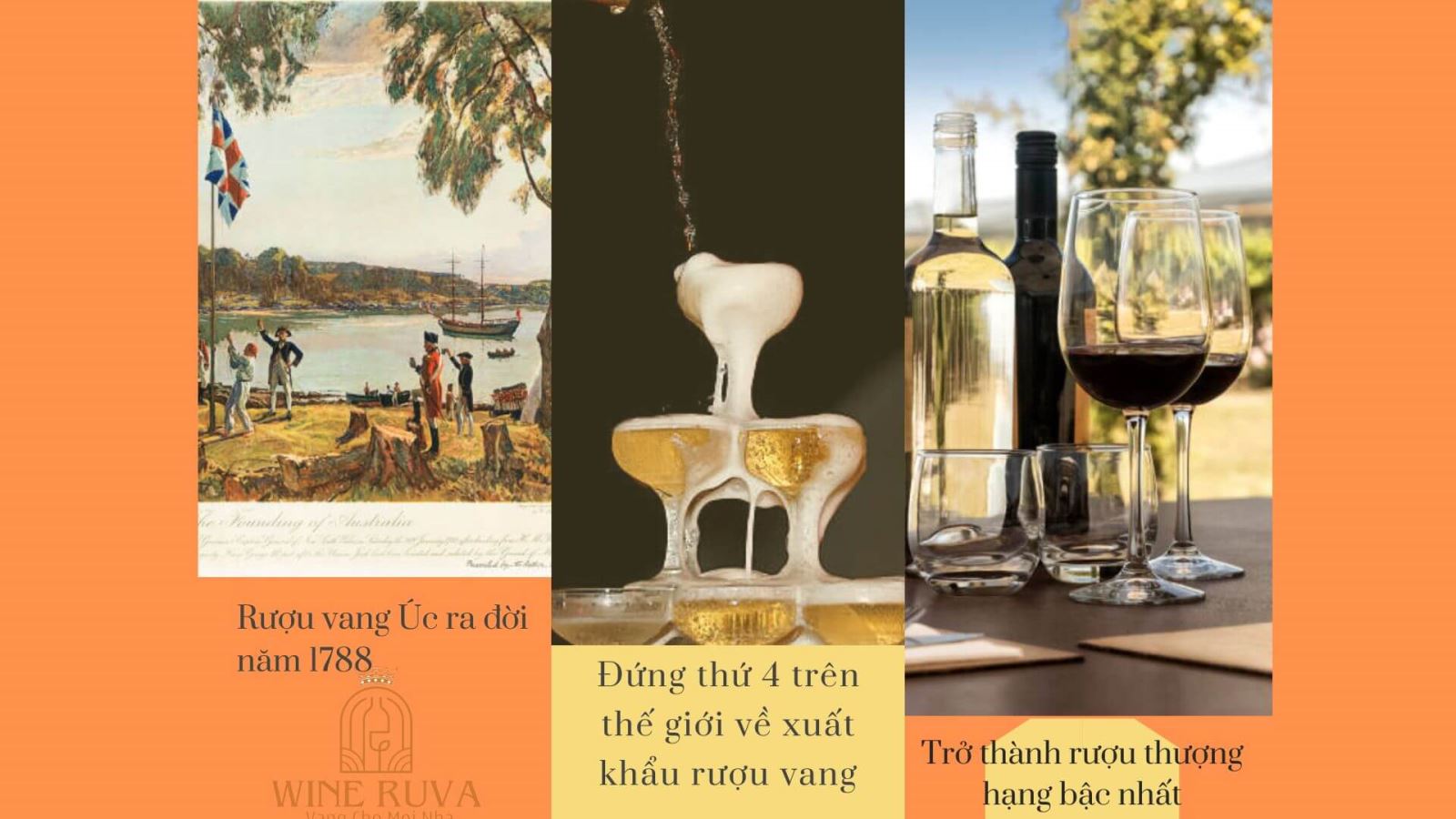 Tìm hiểu chi tiết về lịch sử rượu vang Úc 