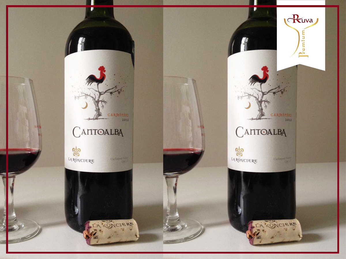 Rượu vang Cantoalba Cabernet Sauvignon sẽ rất tốt cho sức khỏe khi sử dụng hợp lý.