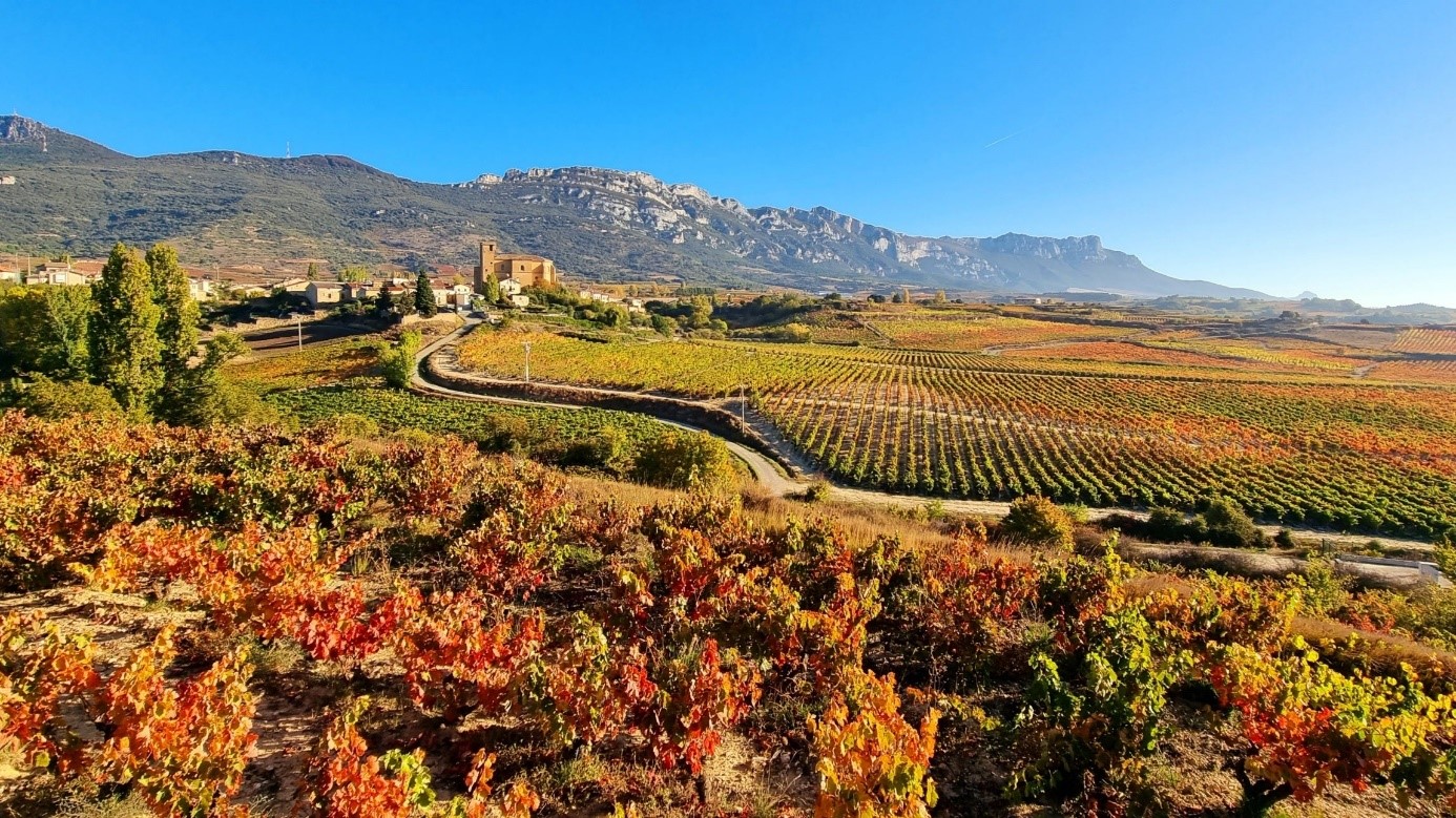 Vùng trồng nho Rioja- Spain