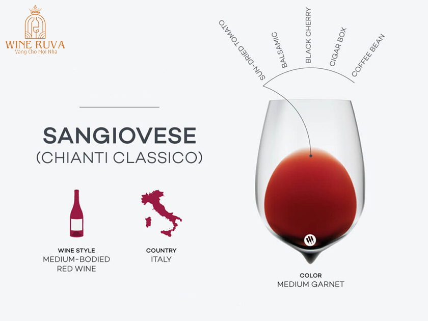 rượu vang từ nho Sangiovese