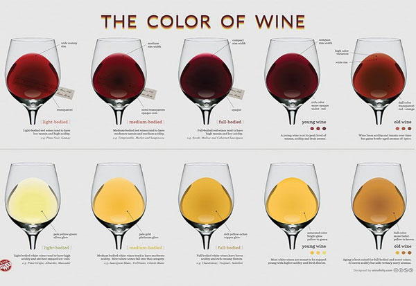 Bảng màu rượu vang nói lên nhiều điều về chất lượng của rượu