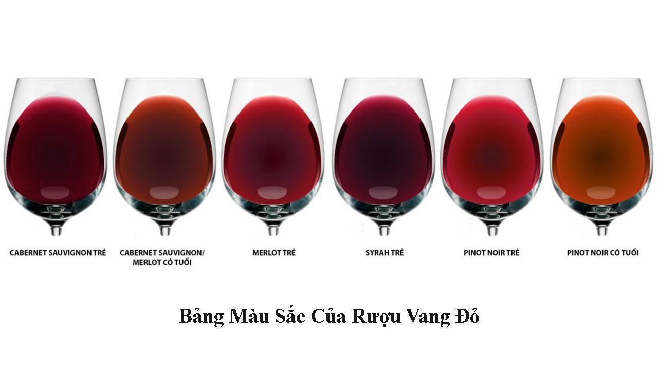 Màu sắc của từng loại rượu vang đỏ