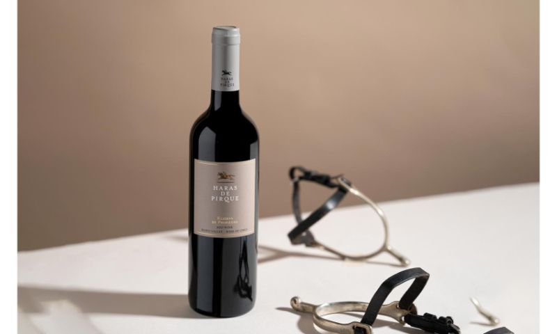 Chile là quốc gia sản xuất rượu vang thuộc nhóm “Tân thế giới”
