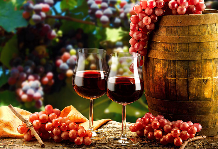 Giá của từng chai rượu Bordeaux phụ thuộc vào giống nho sử dụng để lên men