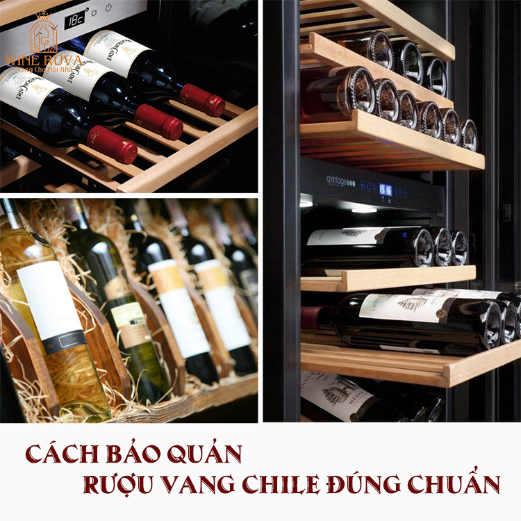 Cần bảo quản rượu vang Chile đúng cách mới lưu giữ nguyên vẹn hương vị rượu
