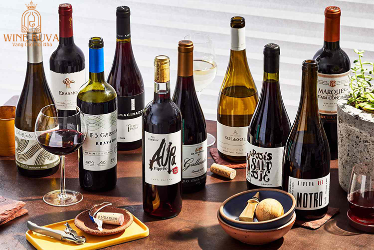Wine RUVA - Địa chỉ phân phối rượu vang Chile nhập khẩu