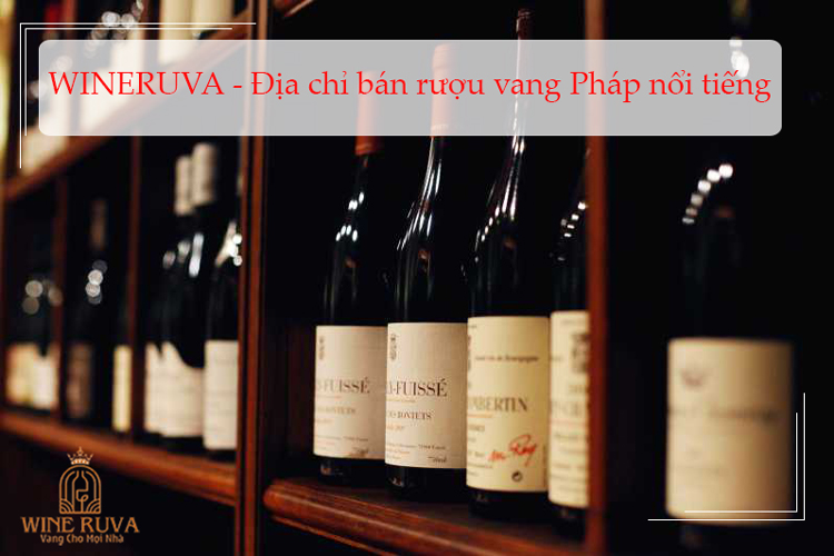  Rượu vang WINERUVA - Địa chỉ bán rượu vang Pháp nổi tiếng