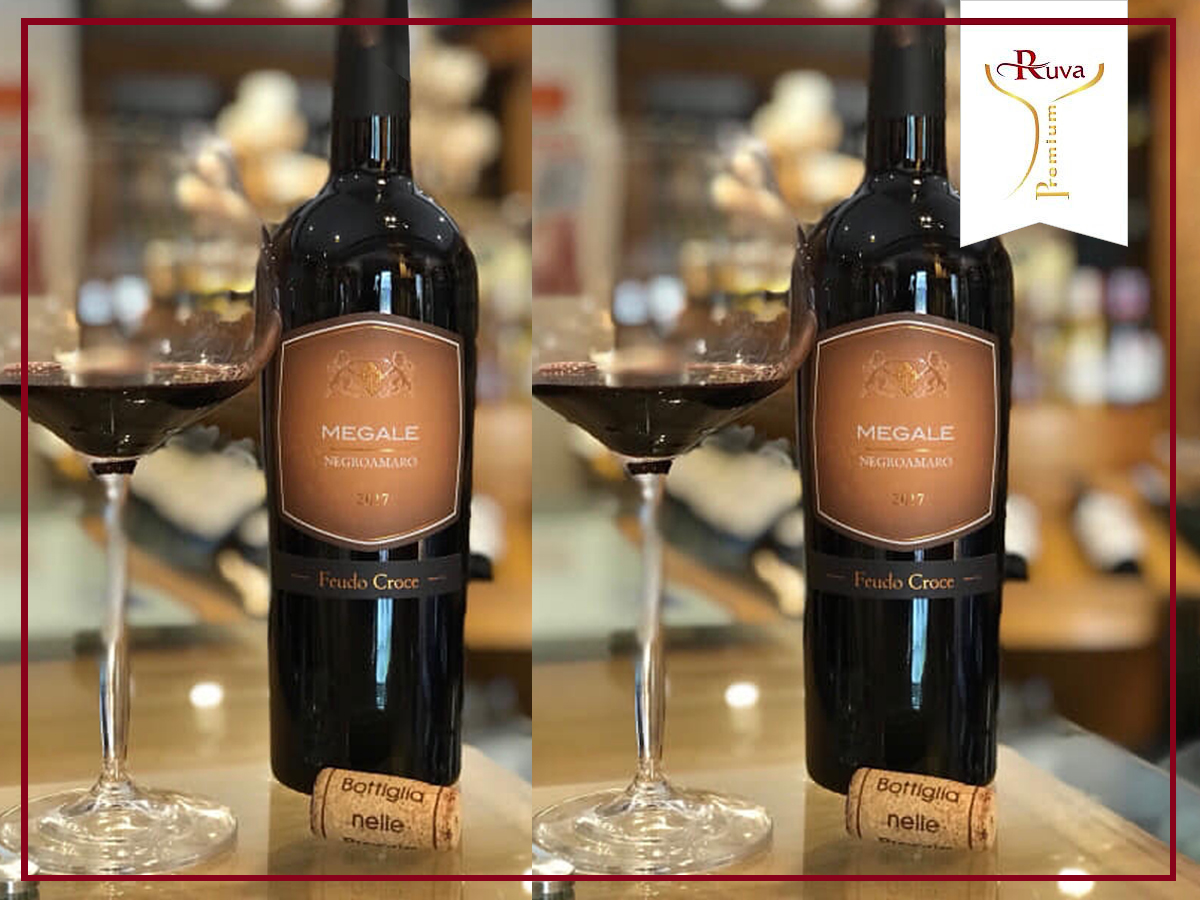 Màu sắc tuyệt vời của rượu vang Megale NegroAmaro Salento Giorgio(Brown Label)