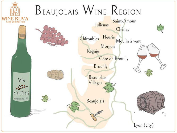 Các vùng sản xuất ra những chai rượu vang Pháp cao cấp